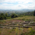 DSCN6147