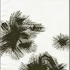 schneetarn