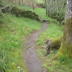 DSCN4164