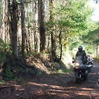 DSCN5487