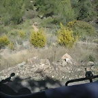 mtb olocau 052