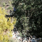 mtb olocau 053