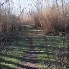 mtb olocau 041