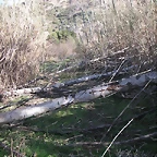 mtb olocau 042