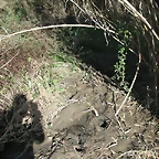 mtb olocau 040