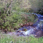 DSCN9086
