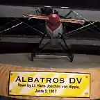 Albatros DV (52)