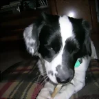 Cooper con su chuche