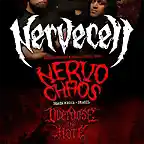 nervecell