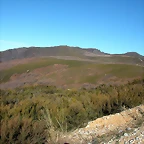 DSCN6790