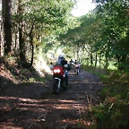 DSCN5486