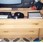 OSCA METIDA EN UN CAJON