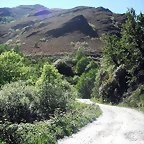 DSCF2643