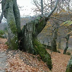 DSCN9681