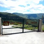 DSCN7850