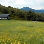 DSCN1302