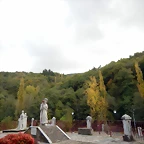 DSCN8281