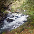 DSCN7972