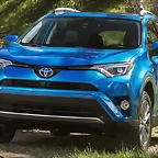 rav 4 rejilla normal 1
