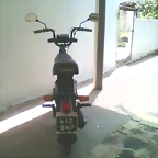 405624_349991491696426_100000567336806_1313161_1979937621_n