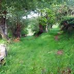 DSCN5204