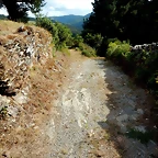 DSCN4404