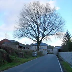 DSCN7181