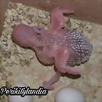 FB_IMG_1550143242479