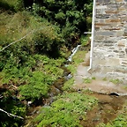 DSCN9143
