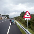 DSCN8342