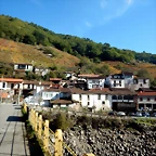 DSCN1571