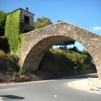 DSCN7133