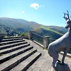 DSCN8521