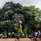 Libera tu bicicleta.