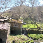 DSCN3974