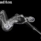 Sexy-models-under-X-ray-5