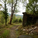 DSCN7203