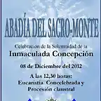 Cartel Inmaculada Az3