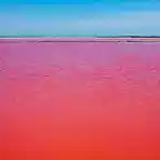 El-agua-roja-de-un-lago-en-Camargue