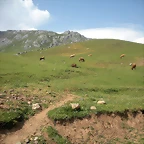 DSCN3638