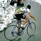 Hinault-Giro 1980-Stelvio