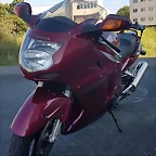CBR 1100 XX (6)