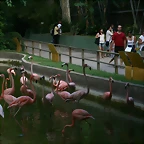 Zoo de Barcelona 01-08-2010 411