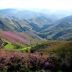 DSCN9035