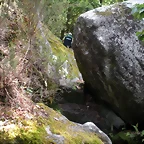 DSCN2766