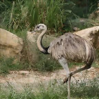 Zoo Lunaret + Sigean 18 i 19-09-10 055