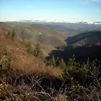 DSCN2511