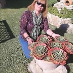12227573_1522109701442833_6730412840661034626_n