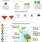 AltCOP26-Los-lideres-mundiales-se-comprometen-contra-la-deforestacion-Infografia-de-Agencia-EFE-