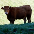 DSCN9504'5